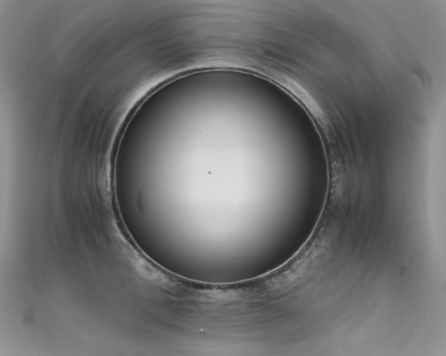 X0000111490996200907141235