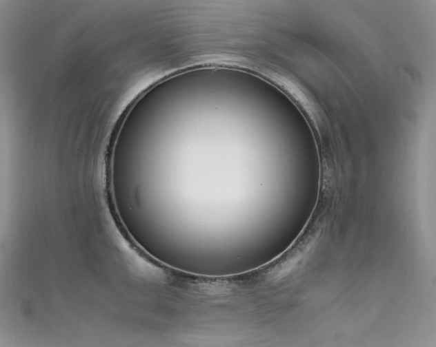 X0000111490999200907141235