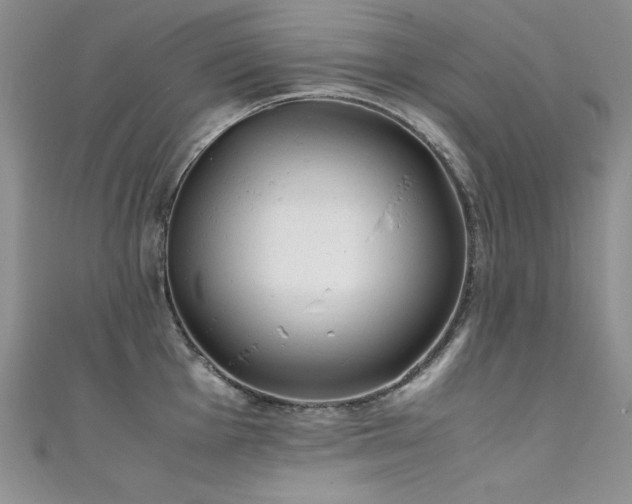 X0000111491001200907141235
