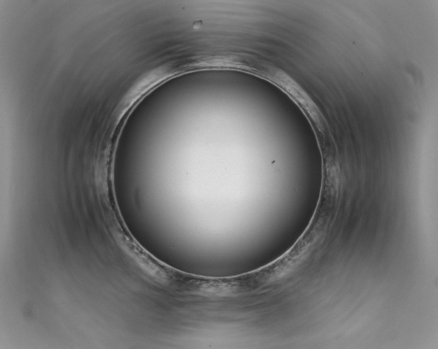 X0000111491002200907141235