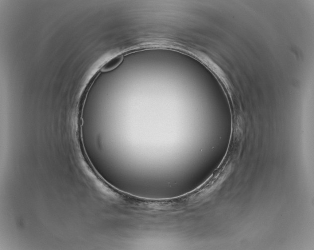 X0000111491005200907141235