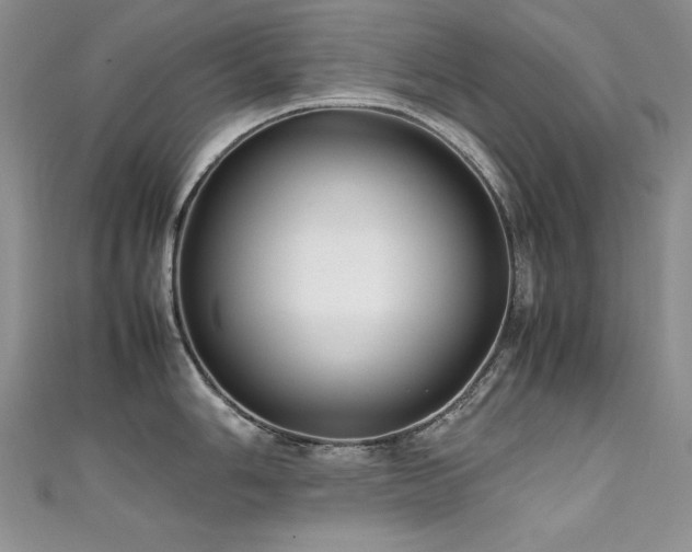 X0000111491006200907141235