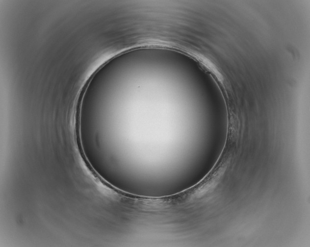 X0000111491007200907141235