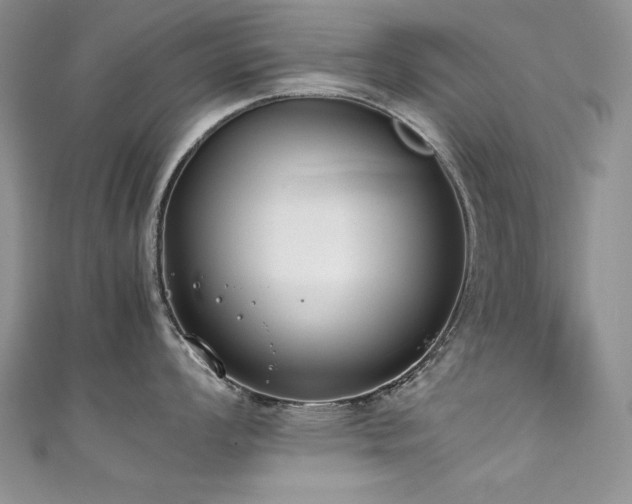 X0000111491008200907141235