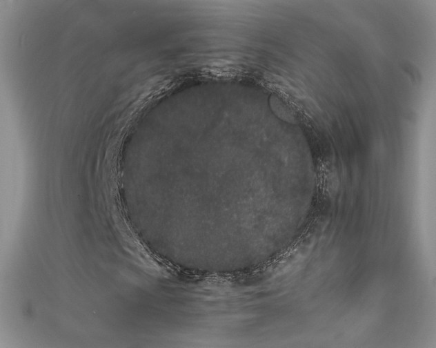 X0000111491009200907141234
