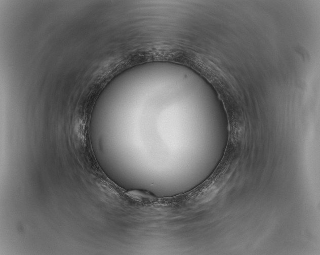 X0000111491010200907141234