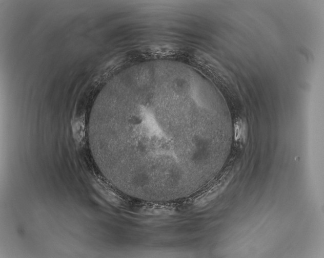 X0000111491011200907141234