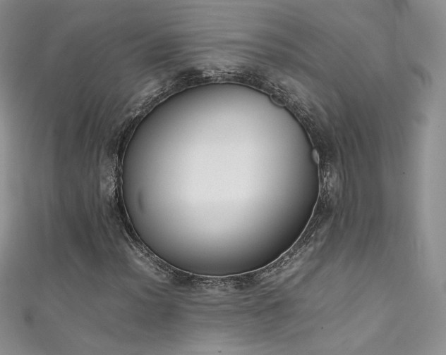 X0000111491012200907141234