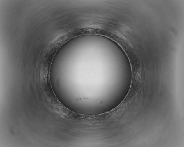 X0000111491014200907141234
