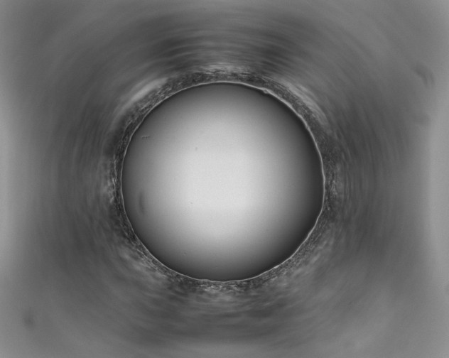 X0000111491015200907141234