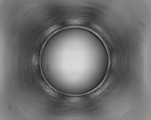 X0000111491017200907141234