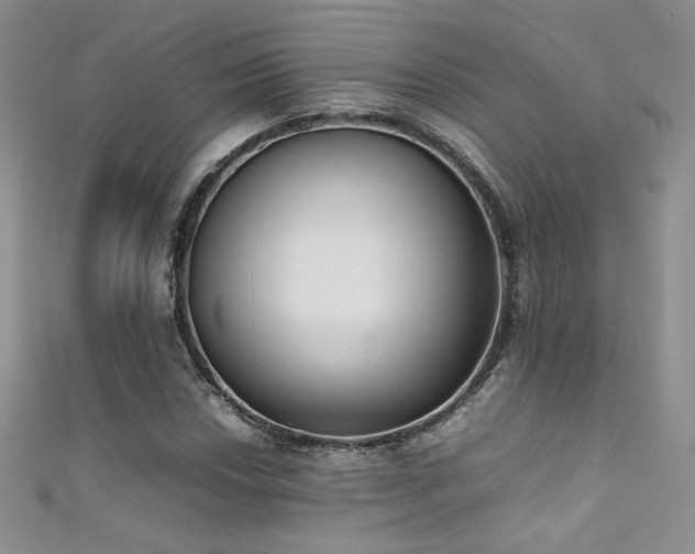 X0000111491018200907141234
