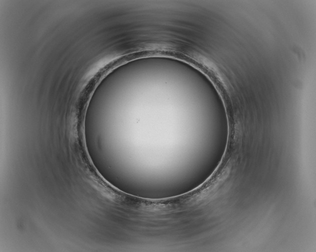 X0000111491019200907141234