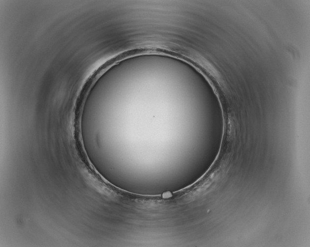 X0000111491020200907141234