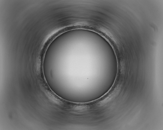 X0000111491021200907141234