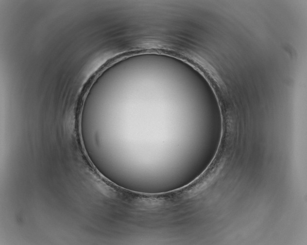 X0000111491023200907141234