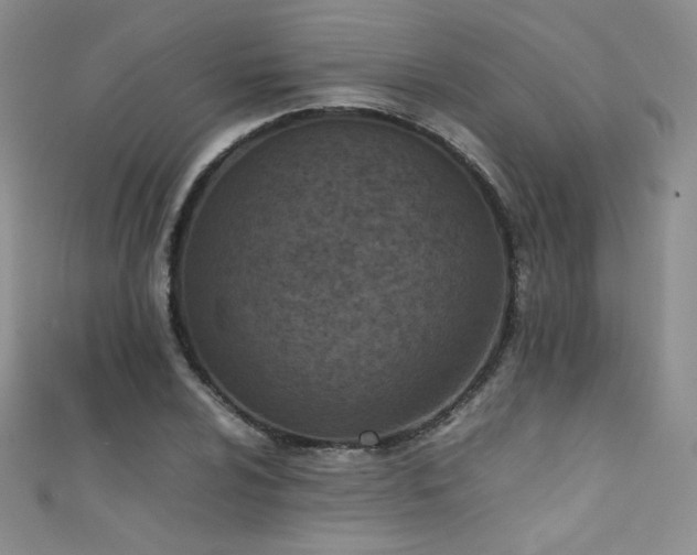 X0000111491024200907141234