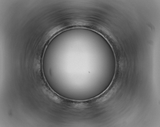 X0000111491025200907141234