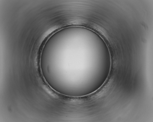 X0000111491026200907141234