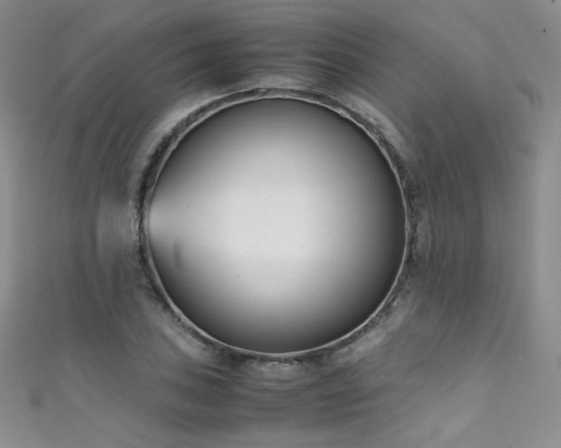 X0000111491027200907141234