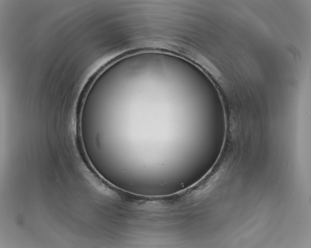 X0000111491028200907141234