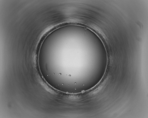 X0000111491029200907141234
