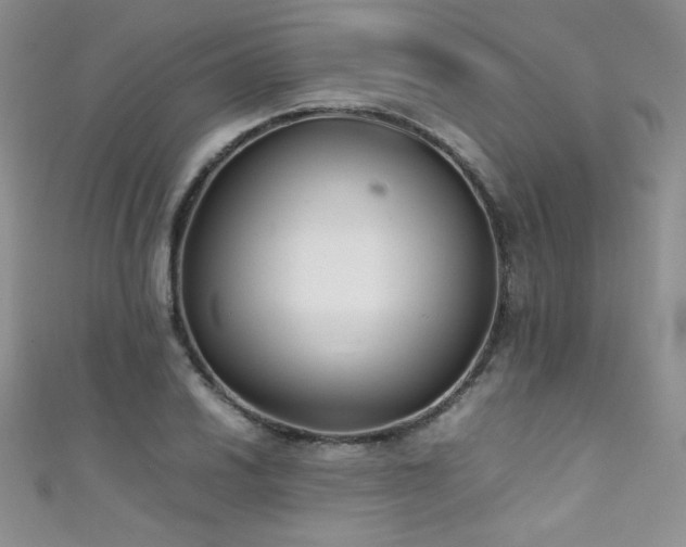 X0000111491030200907141234