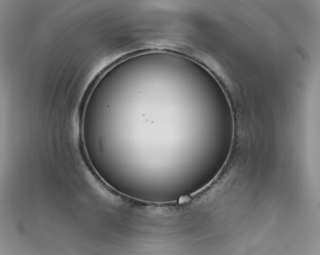 X0000111491032200907141234
