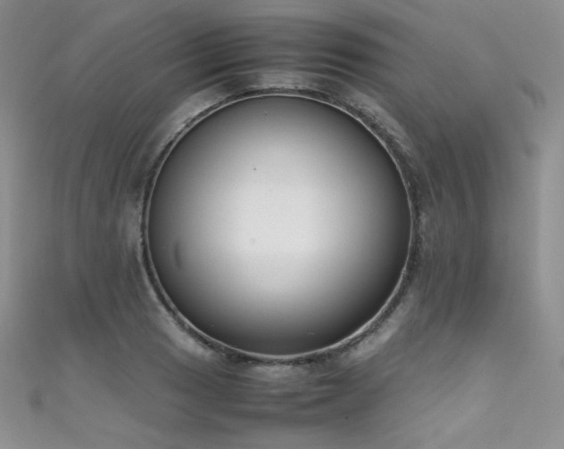 X0000111491033200907141234