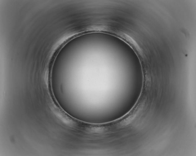 X0000111491035200907141234