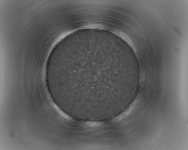 X0000111491037200907141234