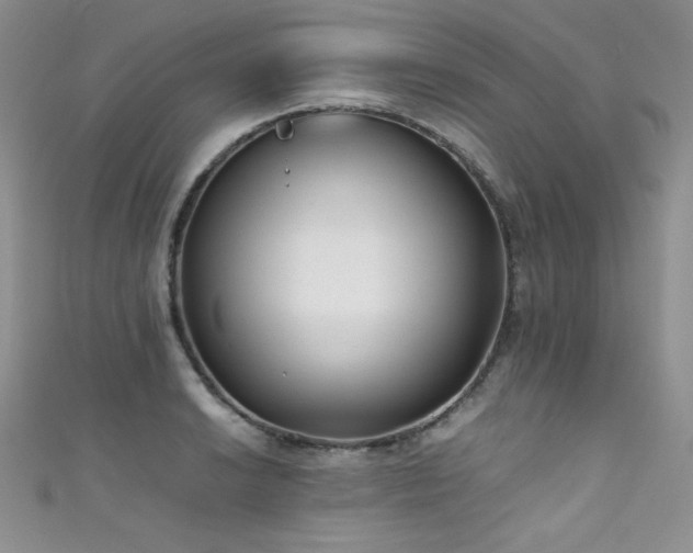 X0000111491038200907141234