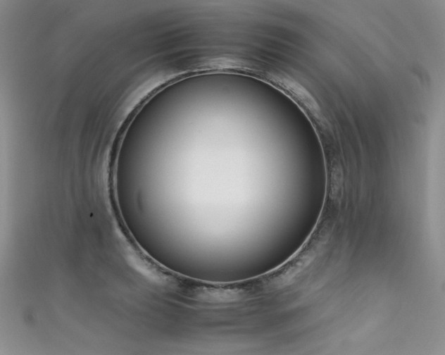X0000111491039200907141234