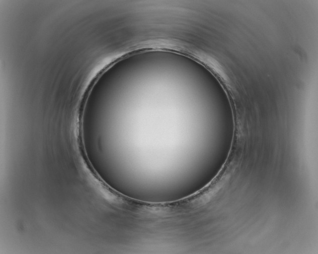 X0000111491040200907141234
