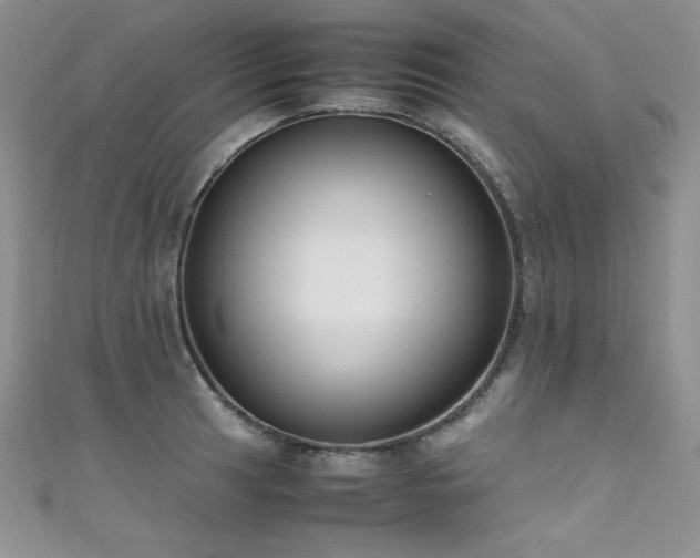 X0000111491041200907141234