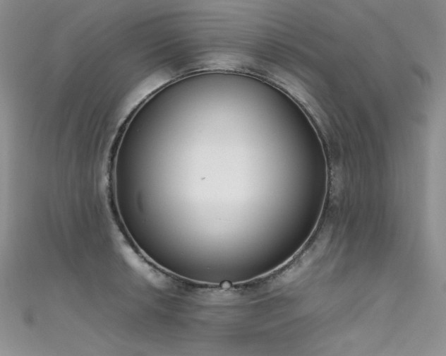 X0000111491042200907141234