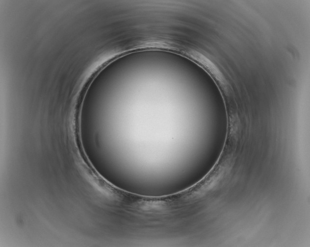 X0000111491043200907141234