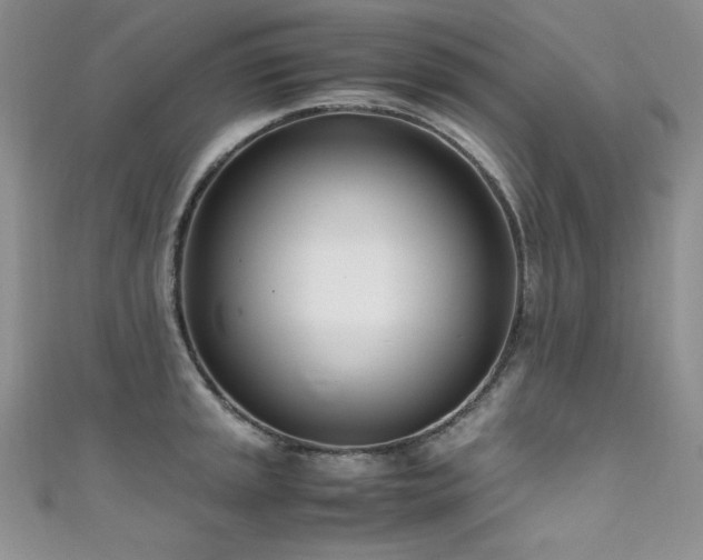 X0000111491045200907141234