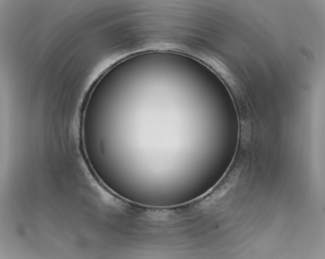 X0000111491046200907141234