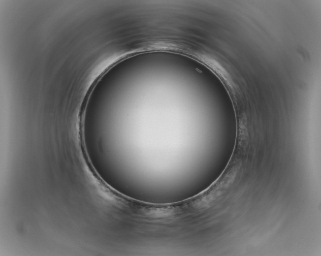 X0000111491047200907141234
