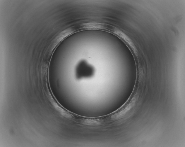 X0000111491049200907141235