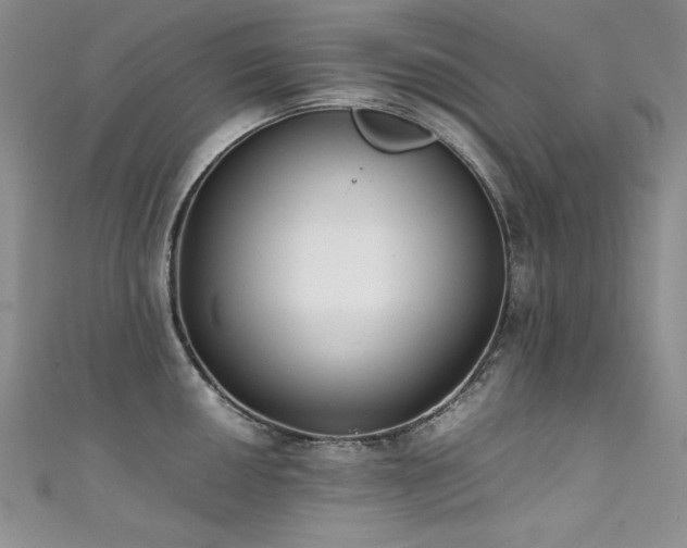 X0000111491050200907141235
