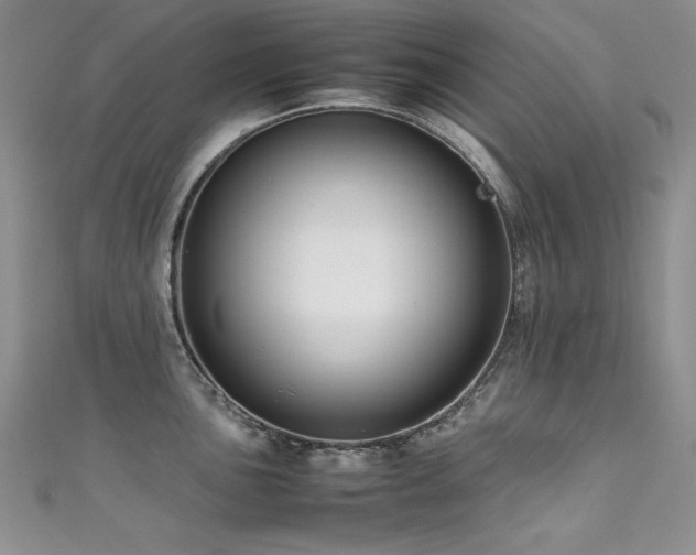 X0000111491051200907141235