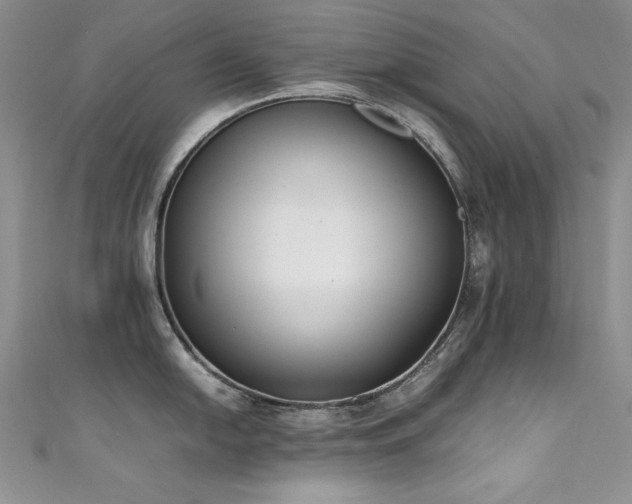 X0000111491054200907141235