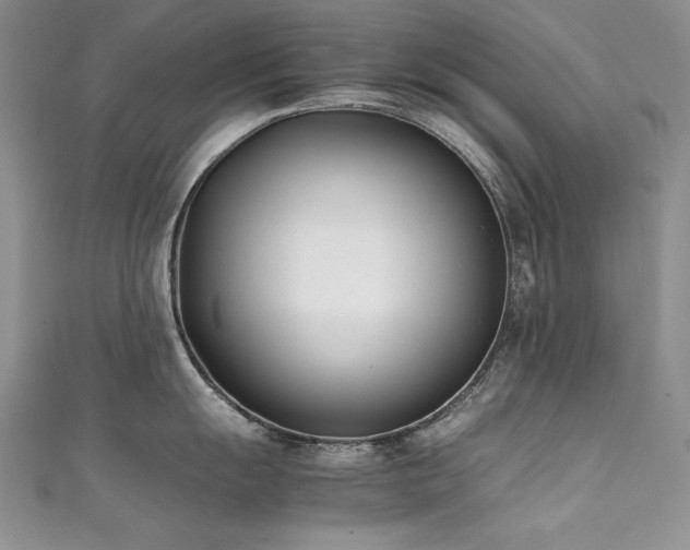 X0000111491055200907141235