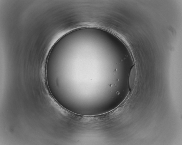 X0000111491056200907141235