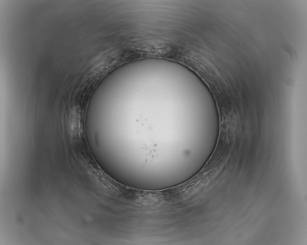X0000111491058200907141234