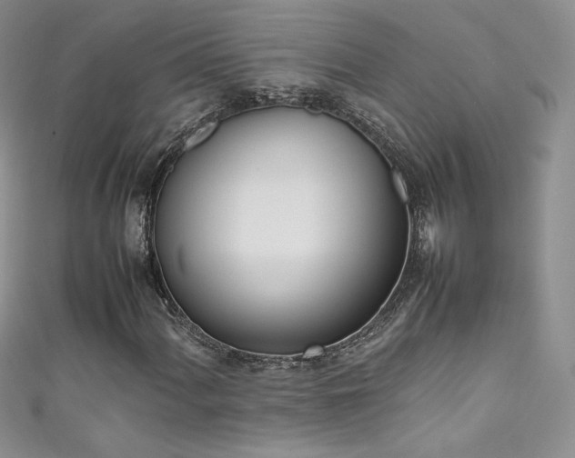 X0000111491060200907141234