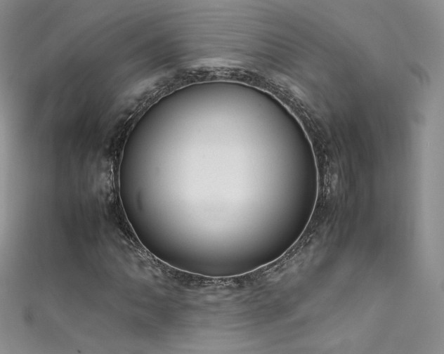 X0000111491062200907141234