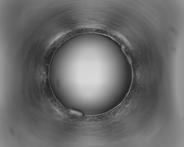 X0000111491064200907141234